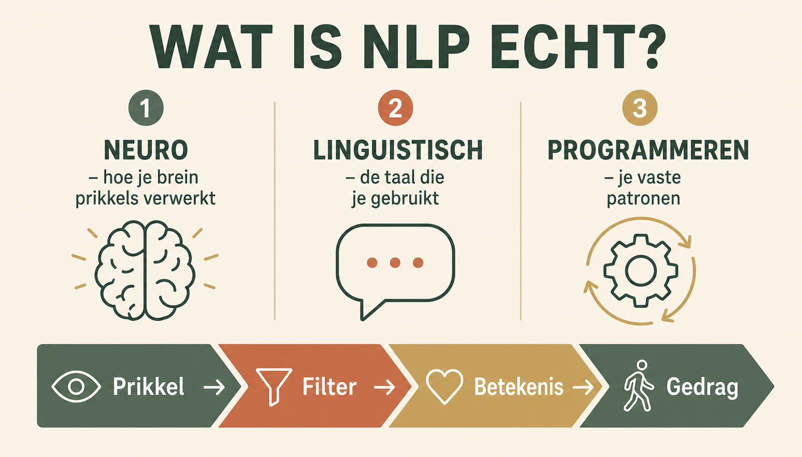 Infographic: wat NLP echt is