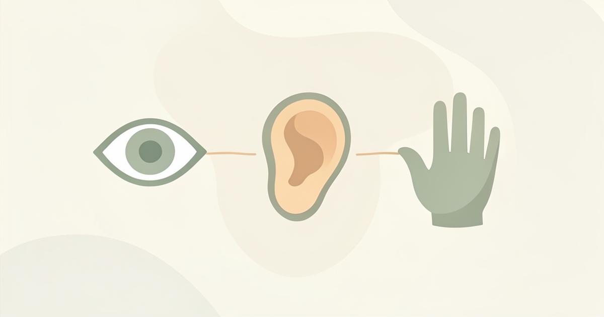 Illustratie van een oog, een oor en een hand als symbolen voor de drie representatiesystemen
